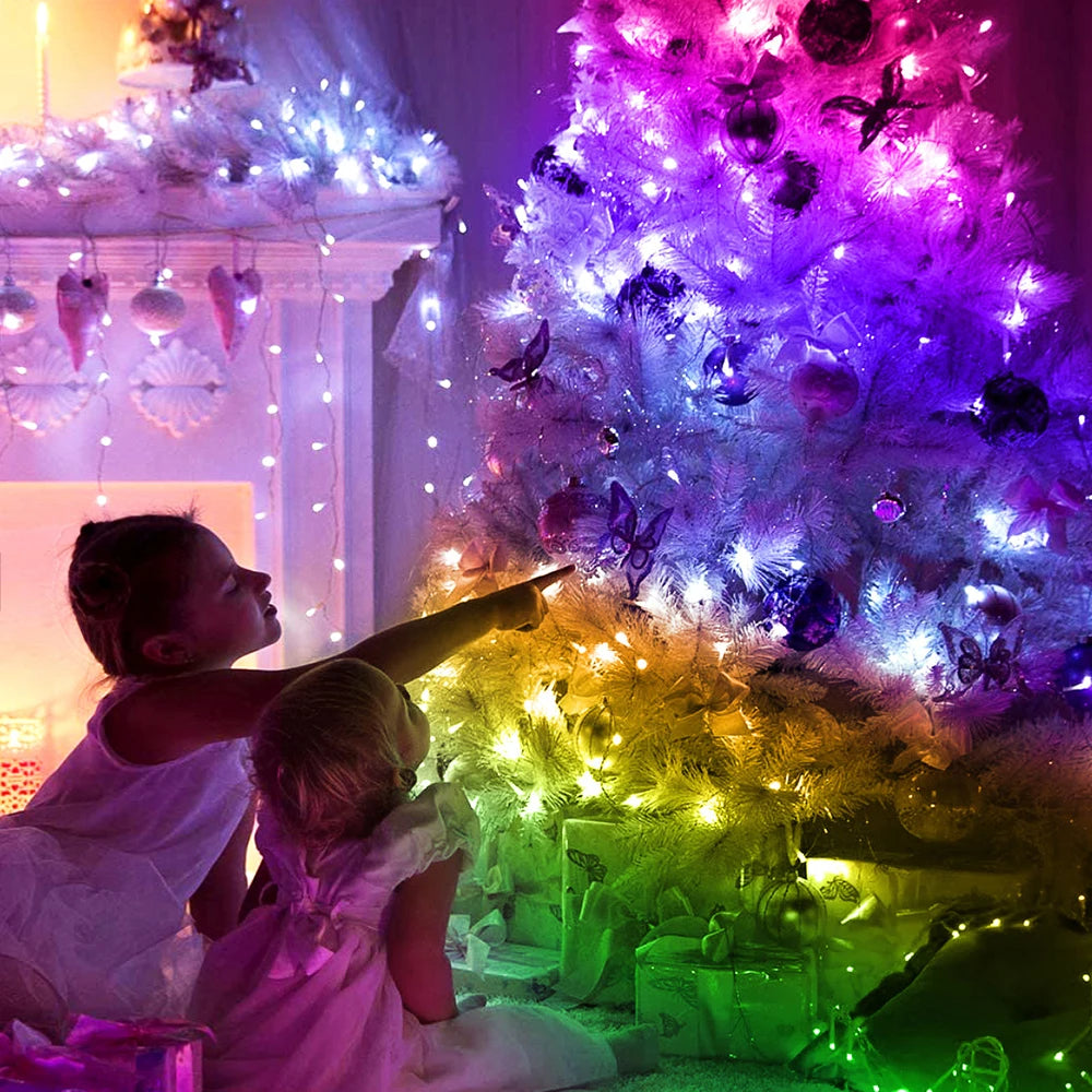 Dream Color LED-Weihnachtsbeleuchtung