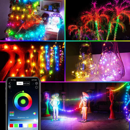 Dream Color LED-Weihnachtsbeleuchtung