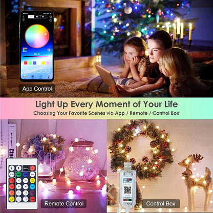 Dream Color LED-Weihnachtsbeleuchtung